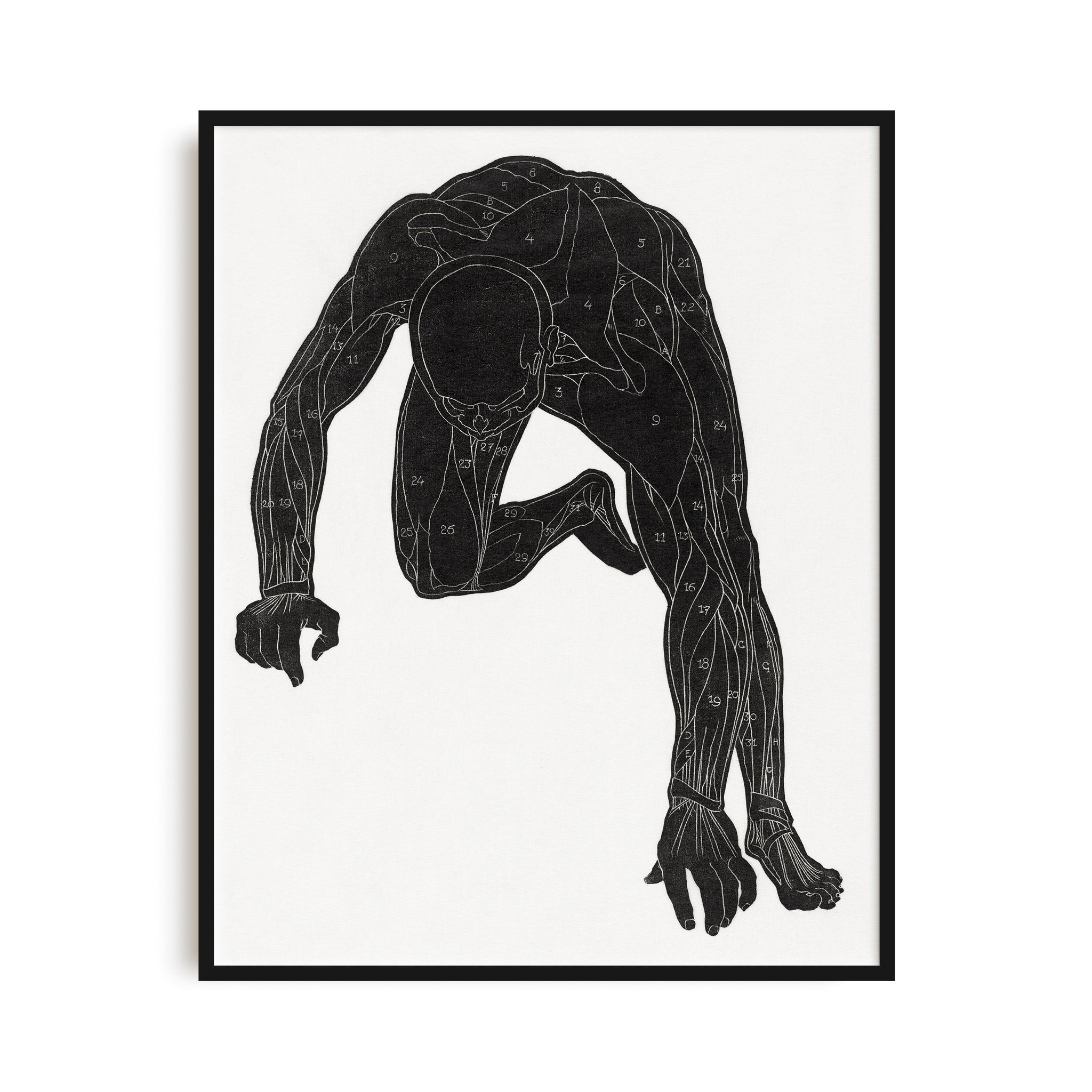 Anatomical study of a man's body in silhouette (1906–1945) by Reijer Stolk