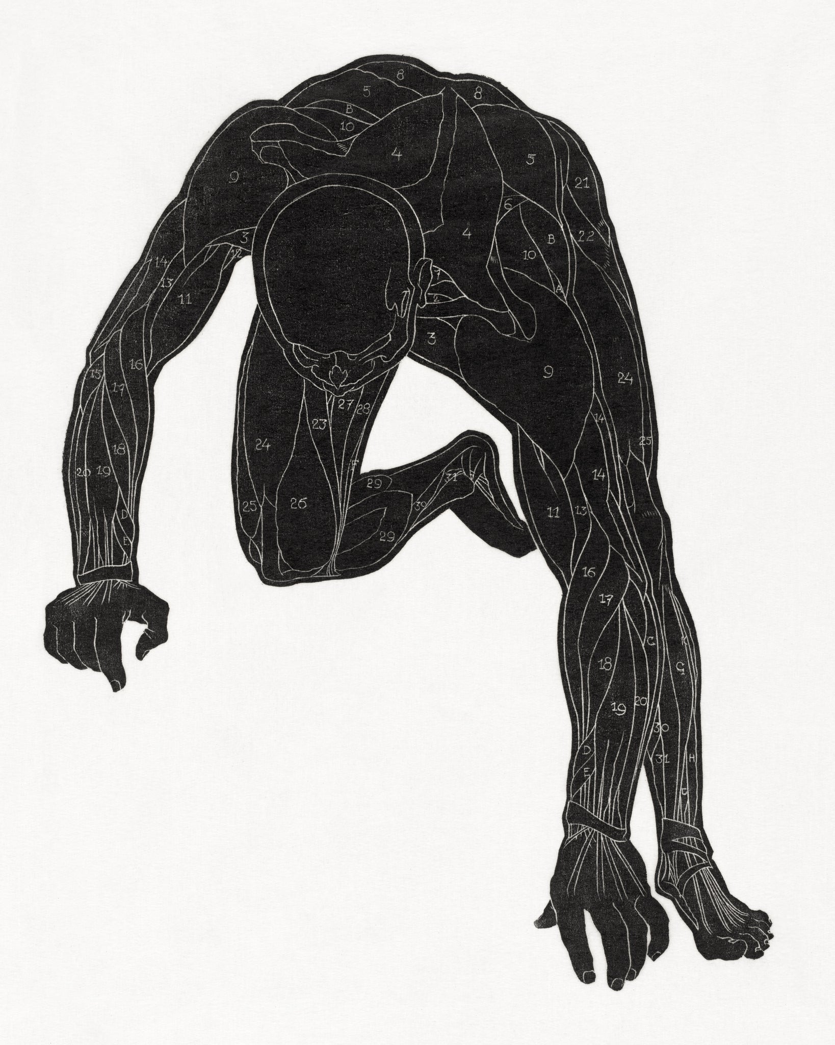 Anatomical study of a man's body in silhouette (1906–1945) by Reijer Stolk