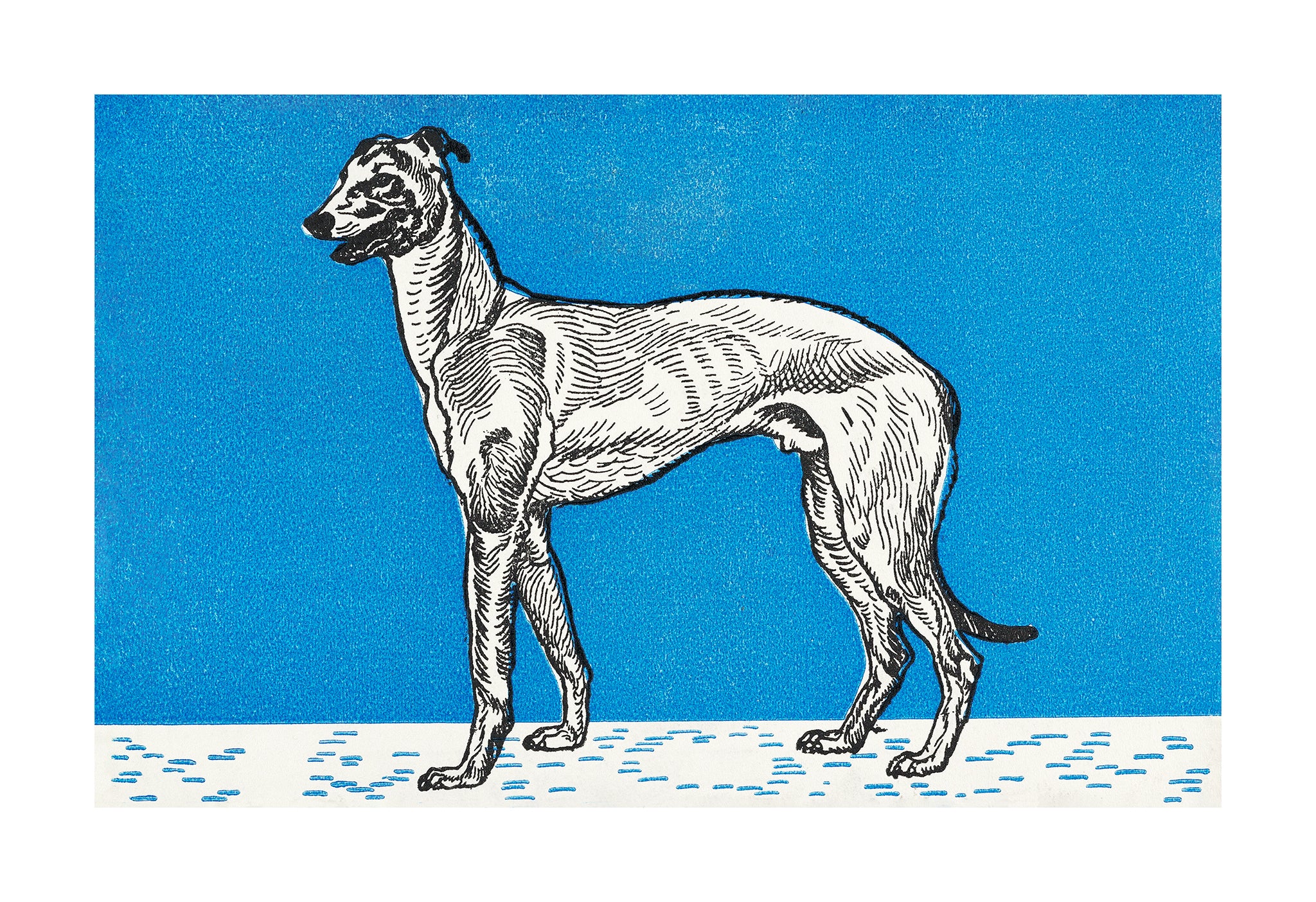 Greyhound (1912) by Moriz Jung